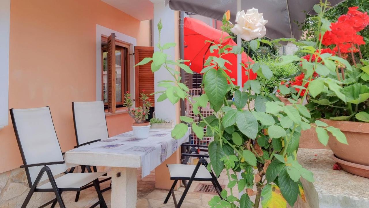 Appartement Valentino à Novigrad Istria Extérieur photo