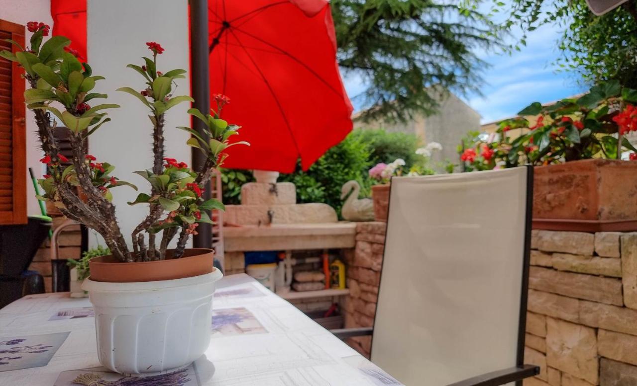 Appartement Valentino à Novigrad Istria Extérieur photo