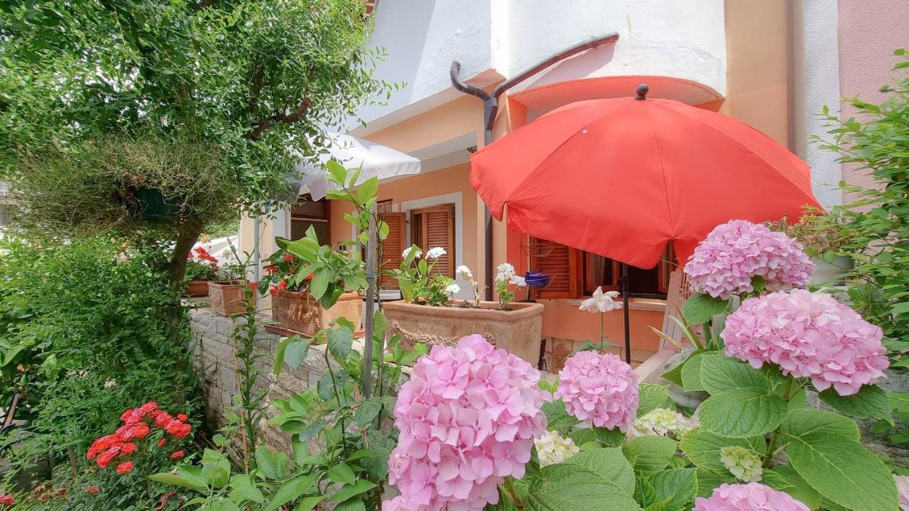Appartement Valentino à Novigrad Istria Extérieur photo